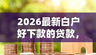 2026最新白户好下款的贷款，总结十个2025好下款的网贷平台！