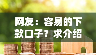 网友：容易的下款口子？求介绍几款小米贷款平台