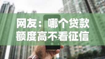 网友：哪个贷款额度高不看征信？求介绍几款融资平台贷款
