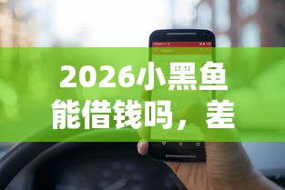 2026小黑鱼能借钱吗，差1000元就选这6个平台