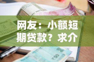 网友：小额短期贷款？求介绍几款正规小额贷款平台