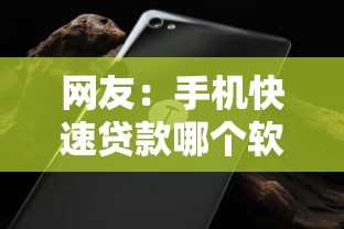 网友：手机快速贷款哪个软件额度高？求介绍几款无视黑白无视征信申请就下款的软件