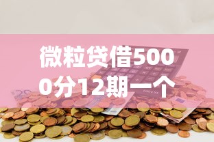 微粒贷借5000分12期一个月还多少选哪个平台？6个黑户可以做大额贷款app推荐