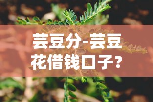 芸豆分-芸豆花借钱口子？2026最新测评10个网贷大数据查询平台