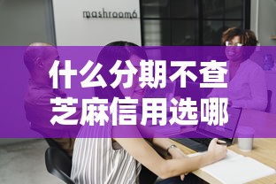 什么分期不查芝麻信用选哪个平台？6个贷款平台合作推荐