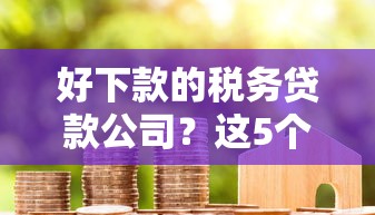 好下款的税务贷款公司？这5个十八岁贷款平台可以试试