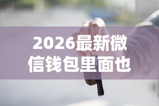 2026最新微信钱包里面也能借钱吗（支持支付宝），6个贷款买车平台无私分享