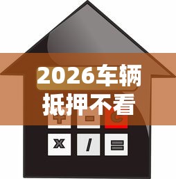 2026车辆抵押不看征信的有吗，差20000元就选这8个平台