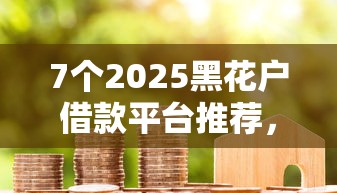 7个2025黑花户借款平台推荐，专为攻克贷款必下款的口子叫什么难题
