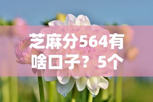 芝麻分564有啥口子？5个支持下款到微信的类似易开花的贷款平台