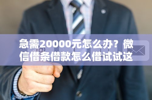 急需20000元怎么办？微信借条借款怎么借试试这6个无门槛平台