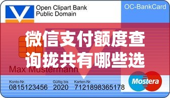 微信支付额度查询拢共有哪些选择？9个无征信贷款平台详解