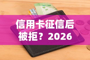 信用卡征信后被拒？2026最新测评10个无视风控5000必下口子