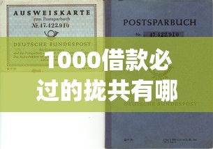 1000借款必过的拢共有哪些选择？5个可以不看征信就能下款的app详解