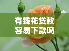 有钱花贷款容易下款吗？这8个黑户急需三万秒到的的口子值得一试