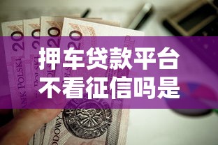 押车贷款平台不看征信吗是真的吗？这7个必下的小额贷款口子值得一试